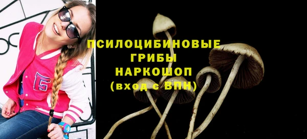 не бодяженный Абдулино
