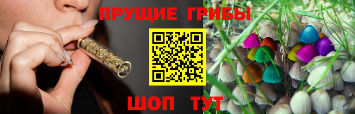 Псилоцибиновые грибы мухоморы Богородицк